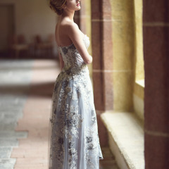 dove1